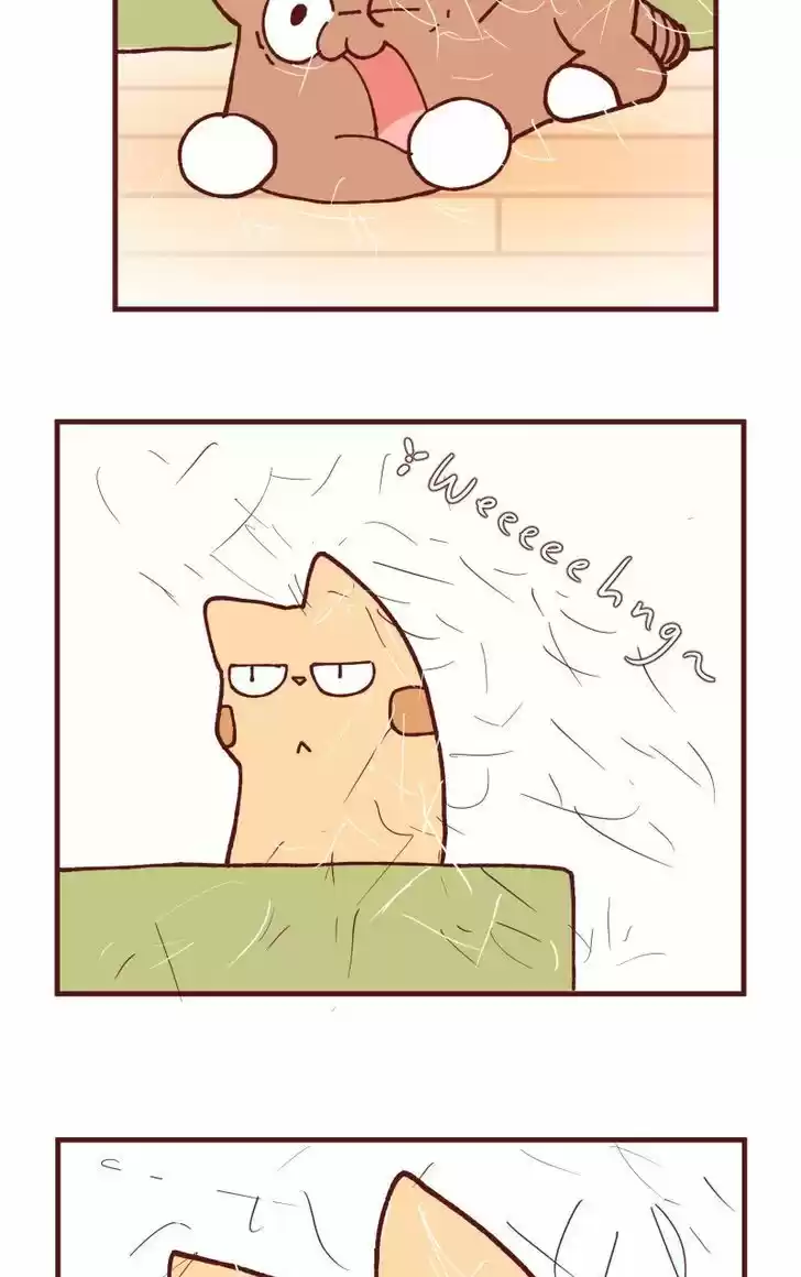 Saphie: The One-Eyed Cat 108