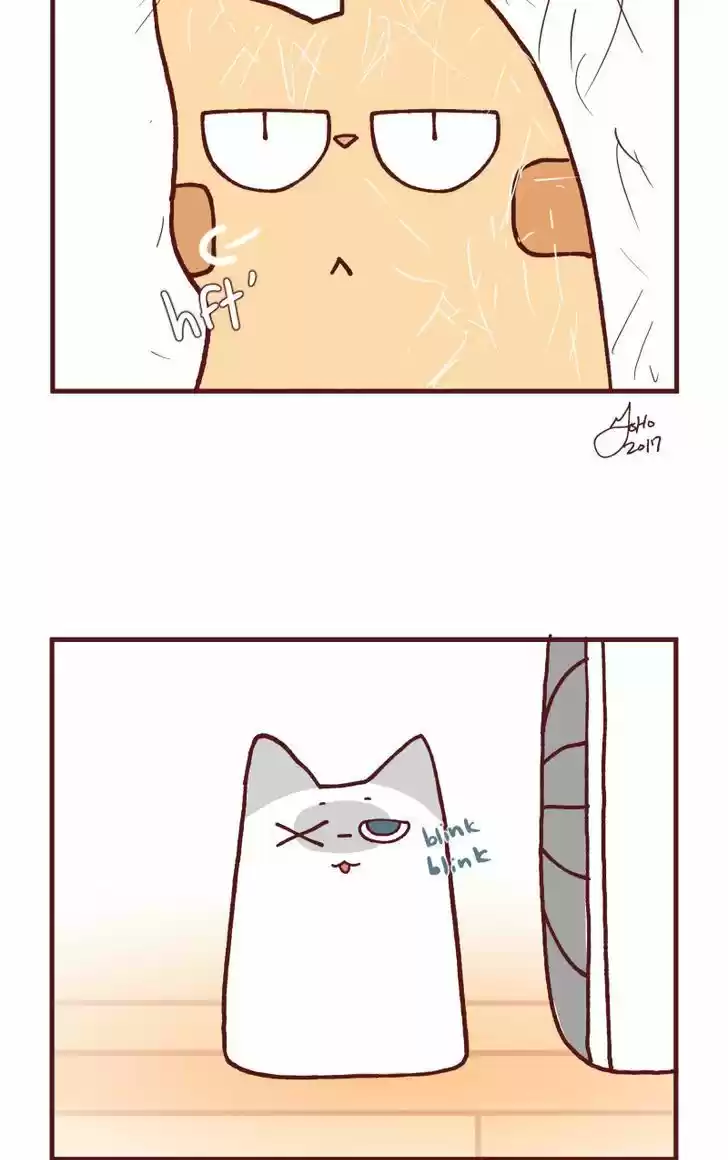 Saphie: The One-Eyed Cat 108