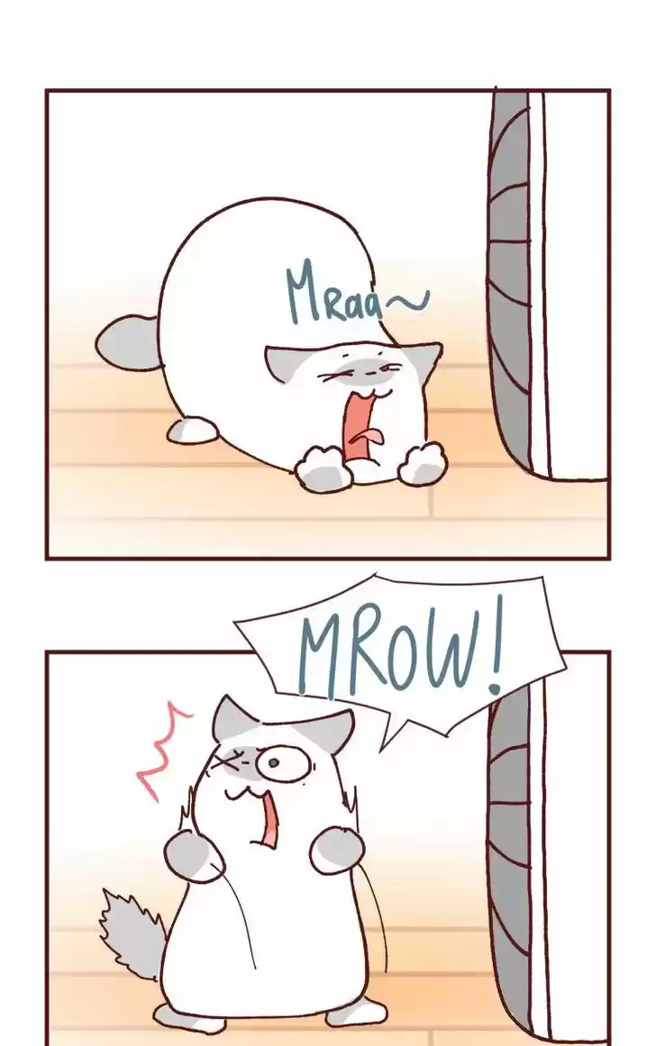 Saphie: The One-Eyed Cat 108