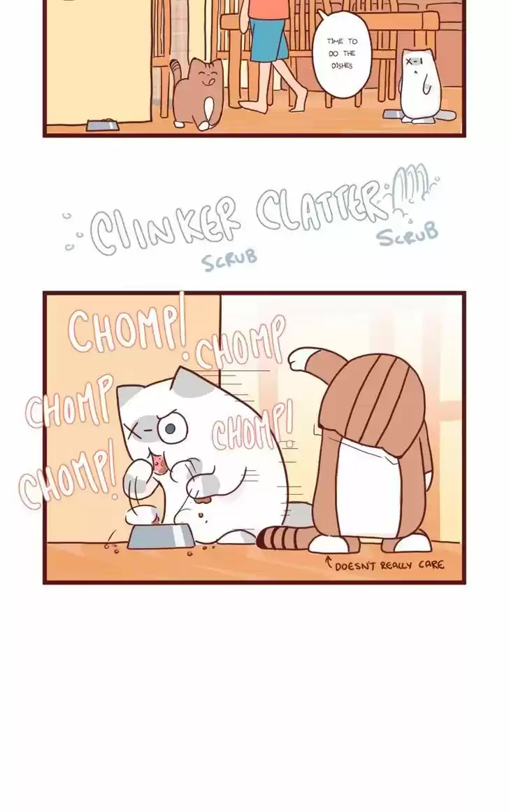 Saphie: The One-Eyed Cat 11