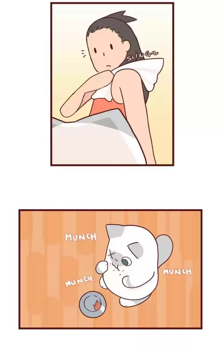 Saphie: The One-Eyed Cat 11