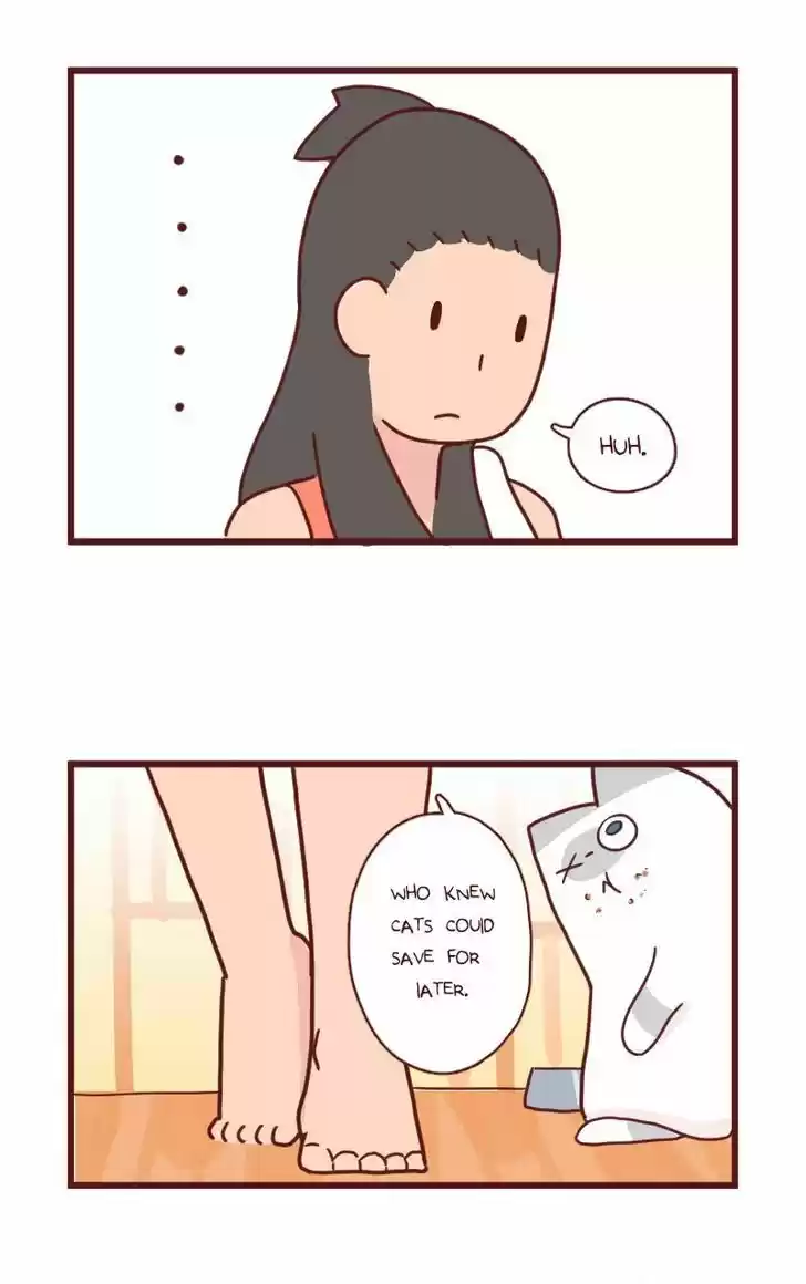 Saphie: The One-Eyed Cat 11