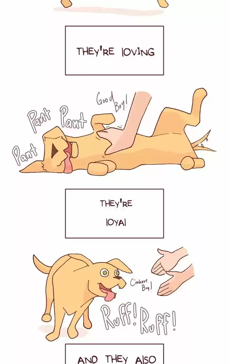 Saphie: The One-Eyed Cat 113