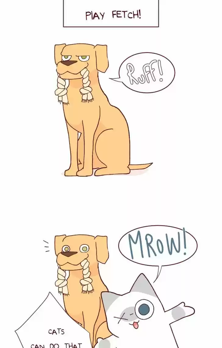 Saphie: The One-Eyed Cat 113