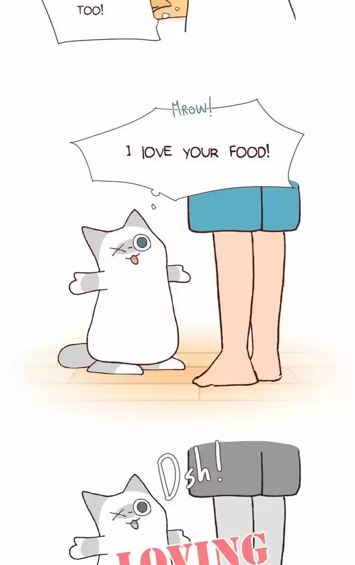 Saphie: The One-Eyed Cat 113