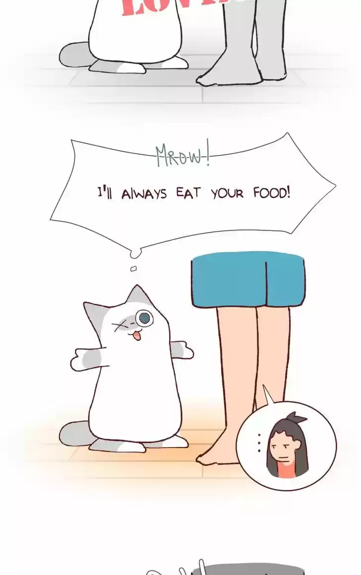 Saphie: The One-Eyed Cat 113