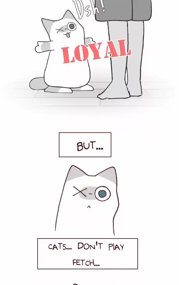 Saphie: The One-Eyed Cat 113