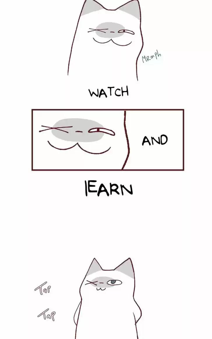 Saphie: The One-Eyed Cat 113