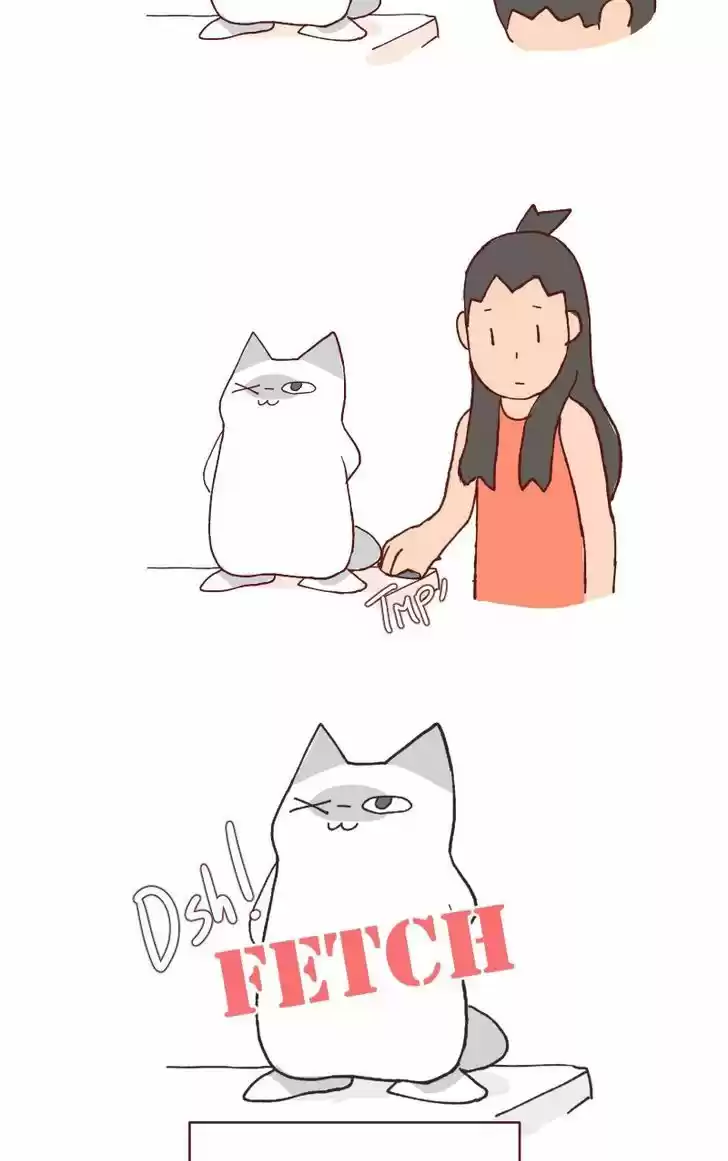 Saphie: The One-Eyed Cat 113