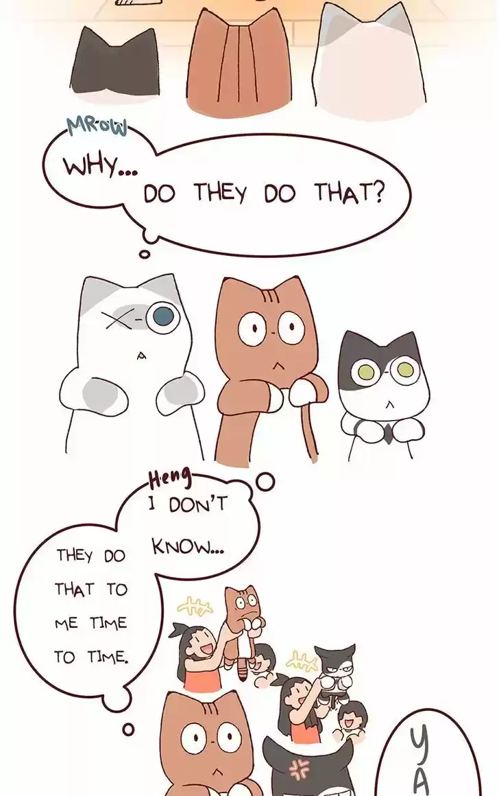 Saphie: The One-Eyed Cat 114