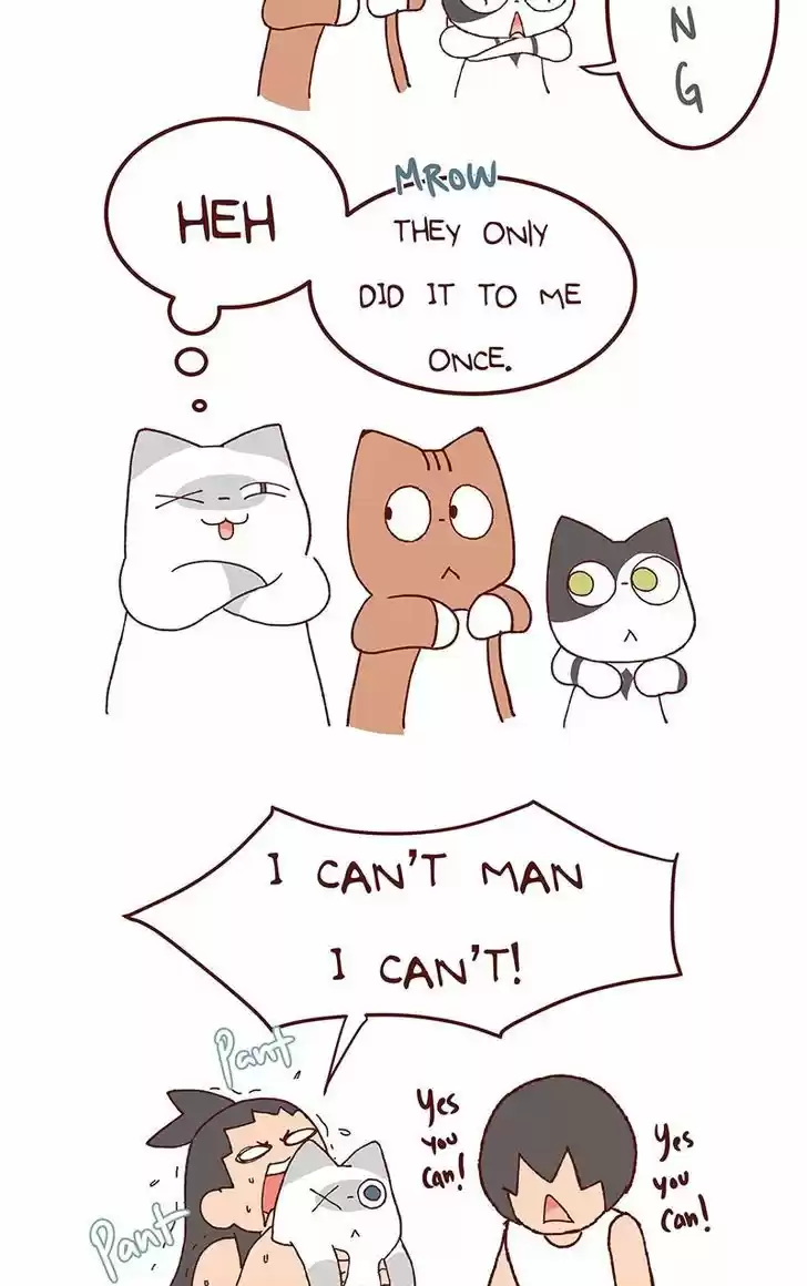 Saphie: The One-Eyed Cat 114