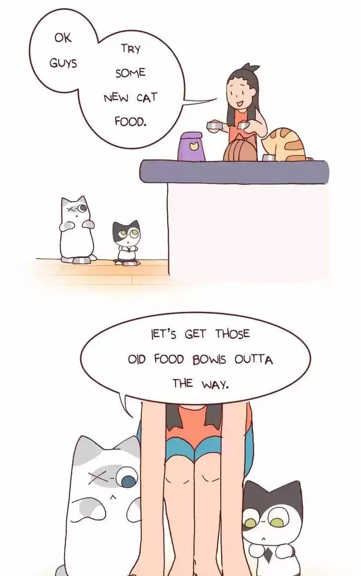 Saphie: The One-Eyed Cat 115