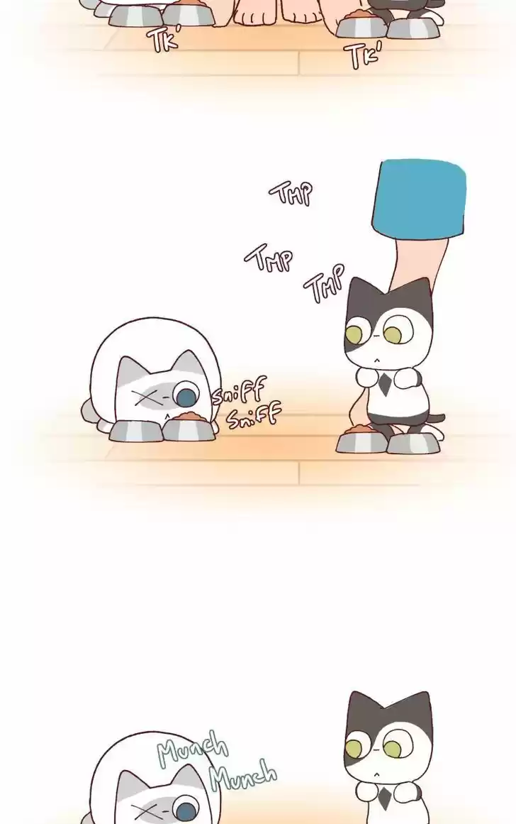 Saphie: The One-Eyed Cat 115