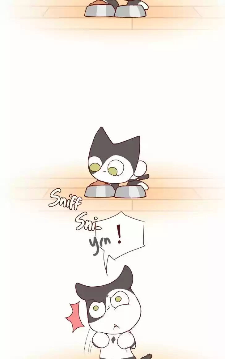 Saphie: The One-Eyed Cat 115