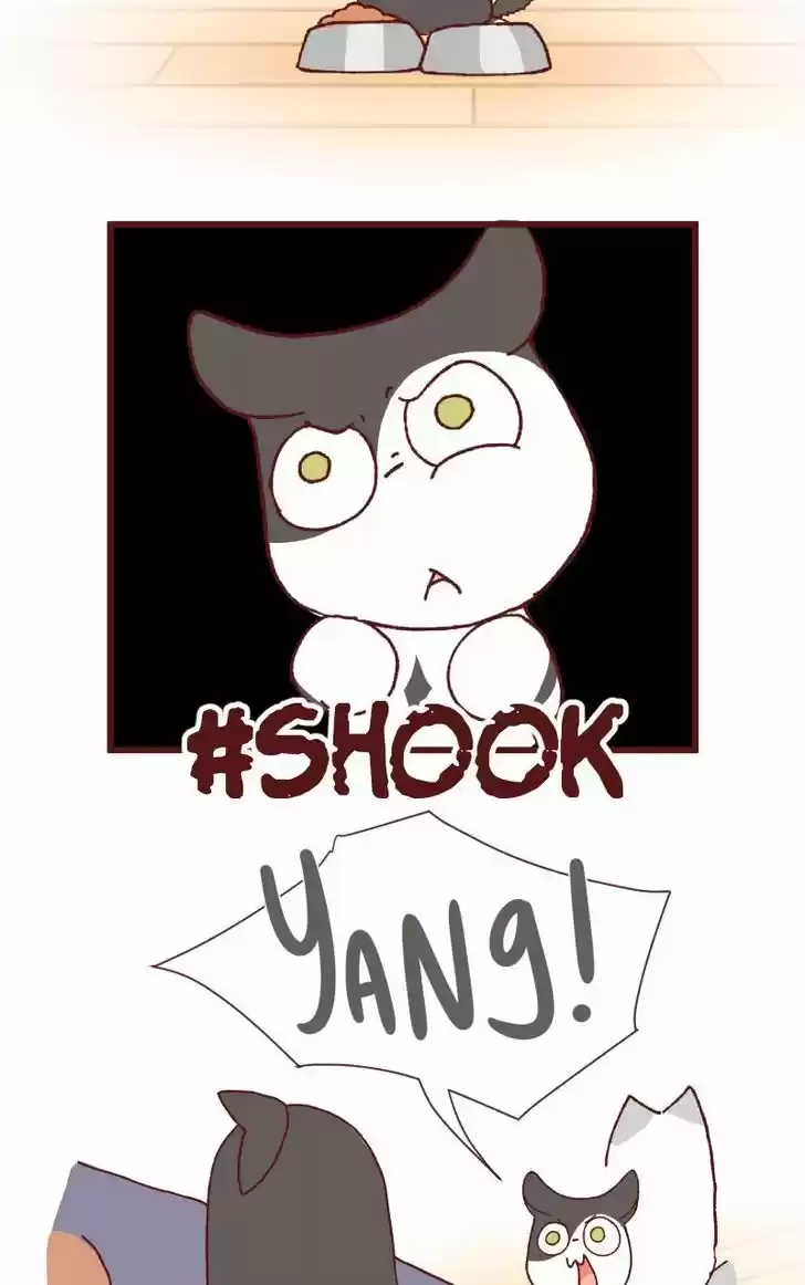 Saphie: The One-Eyed Cat 115