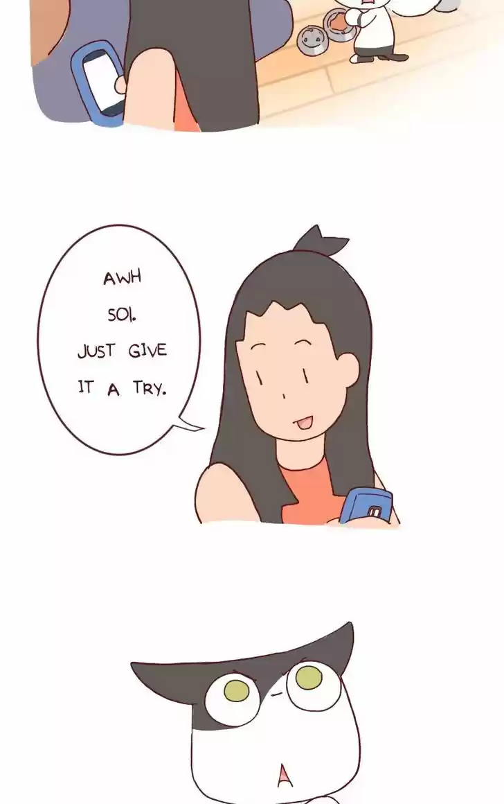 Saphie: The One-Eyed Cat 115