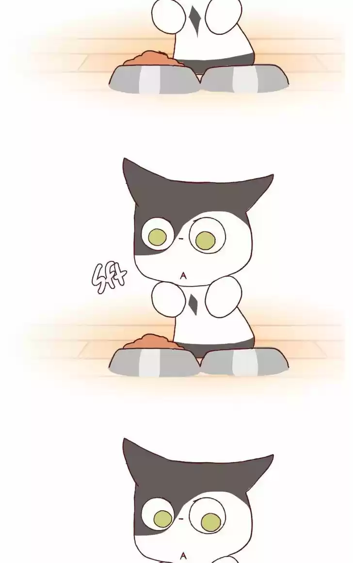 Saphie: The One-Eyed Cat 115