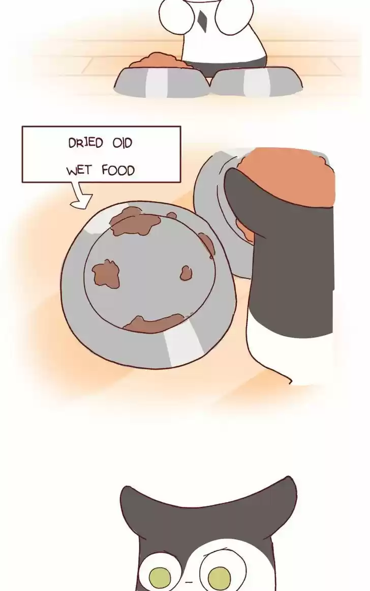 Saphie: The One-Eyed Cat 115