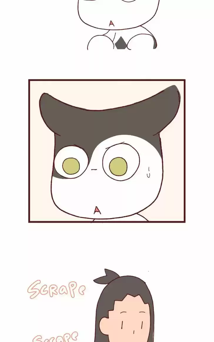 Saphie: The One-Eyed Cat 115