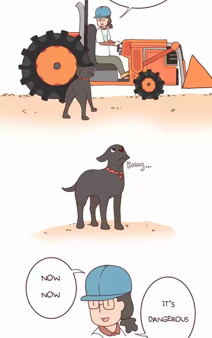 Saphie: The One-Eyed Cat 116