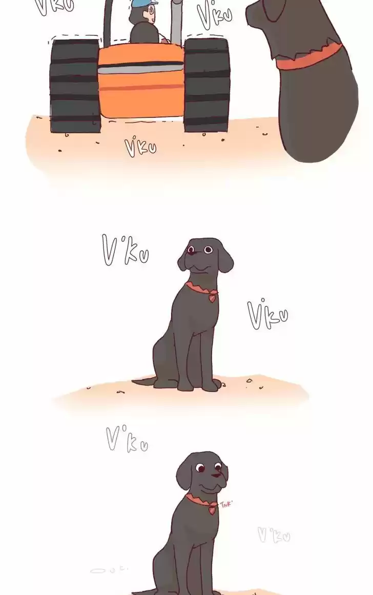 Saphie: The One-Eyed Cat 116