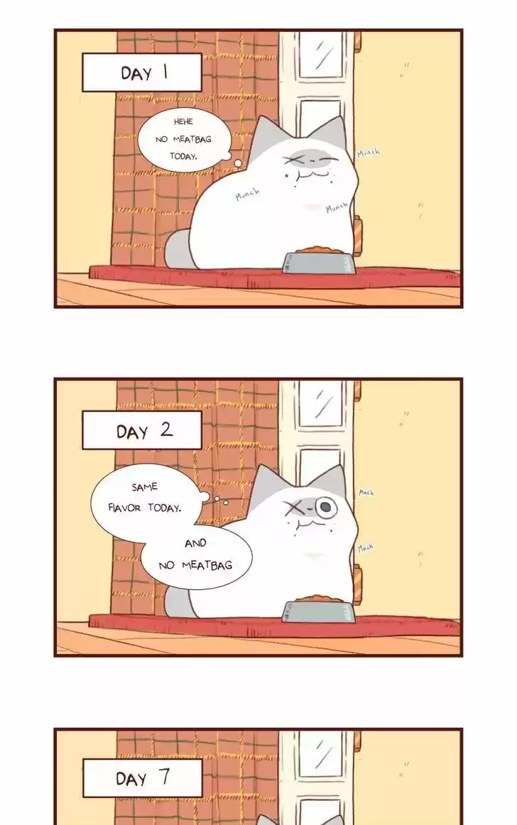 Saphie: The One-Eyed Cat 118