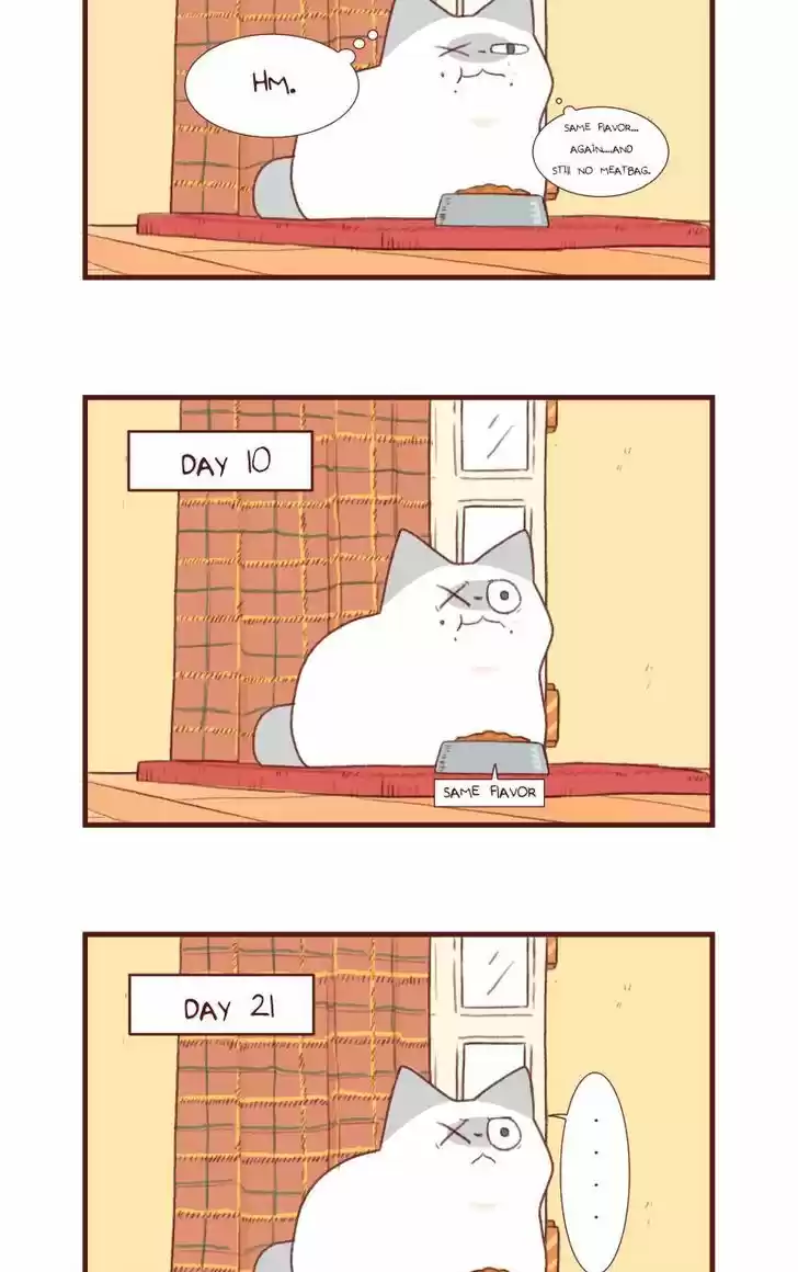 Saphie: The One-Eyed Cat 118