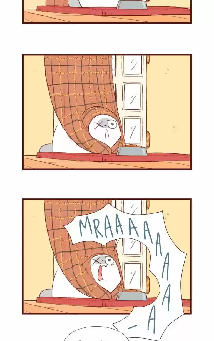 Saphie: The One-Eyed Cat 118