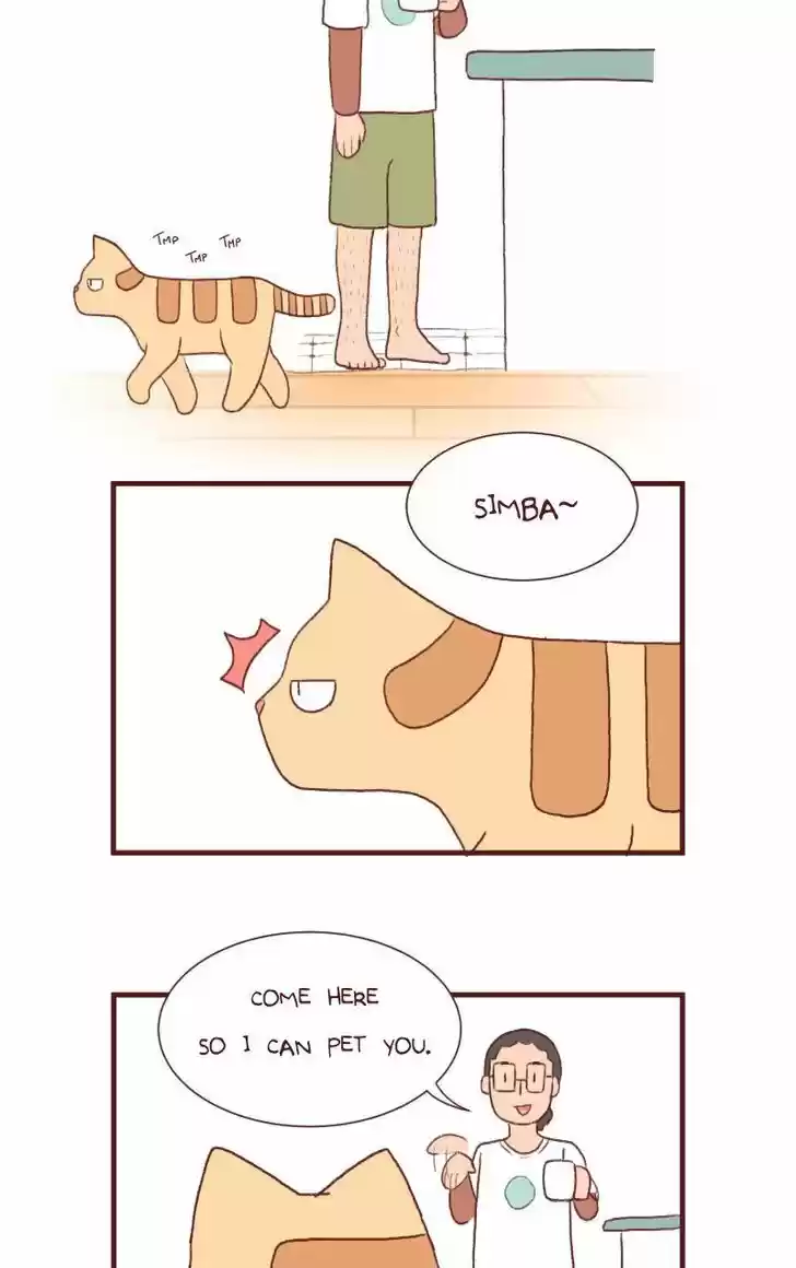 Saphie: The One-Eyed Cat 119