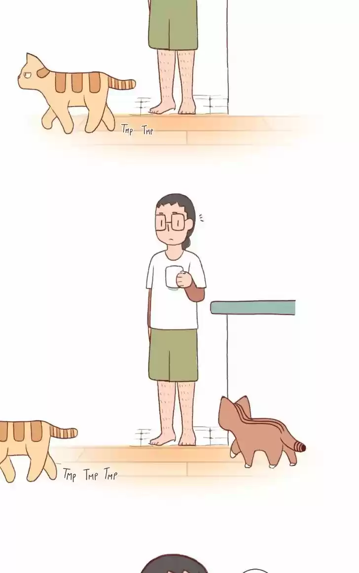 Saphie: The One-Eyed Cat 119