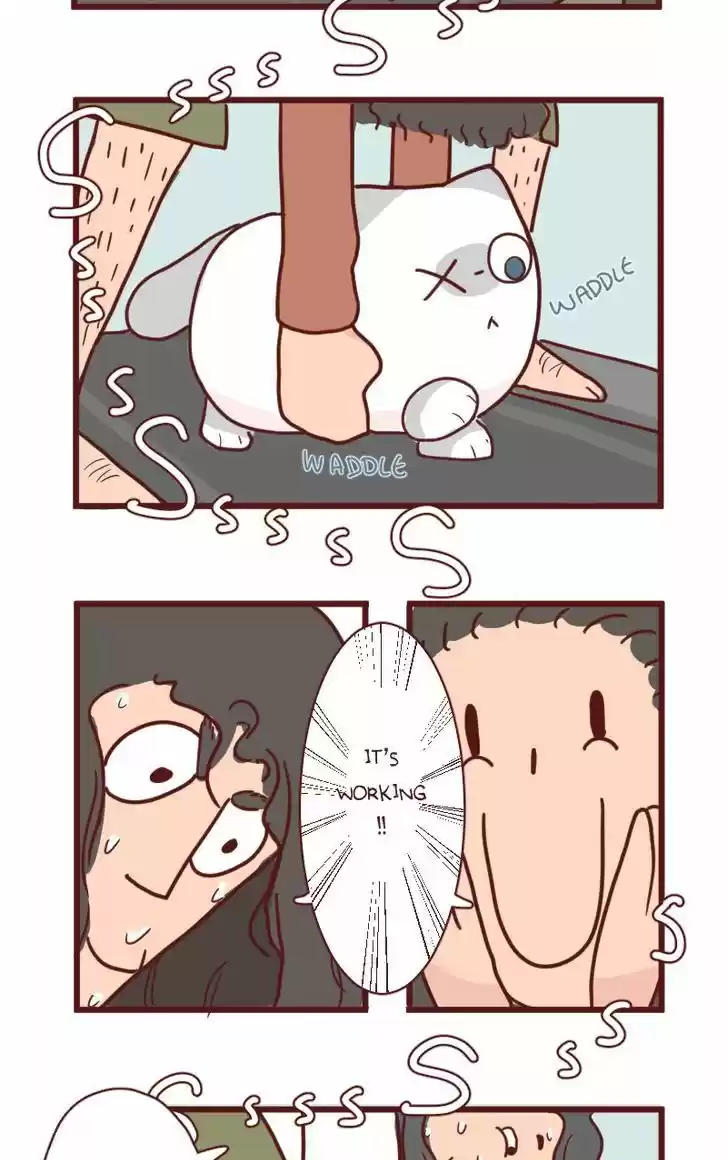 Saphie: The One-Eyed Cat 12