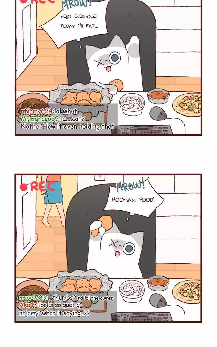 Saphie: The One-Eyed Cat 122