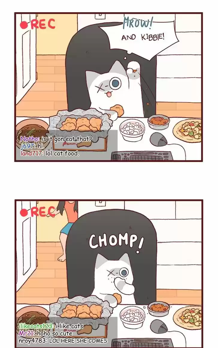 Saphie: The One-Eyed Cat 122