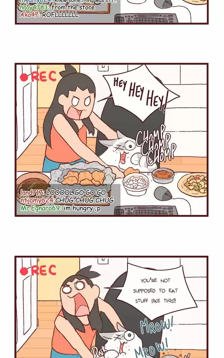 Saphie: The One-Eyed Cat 122