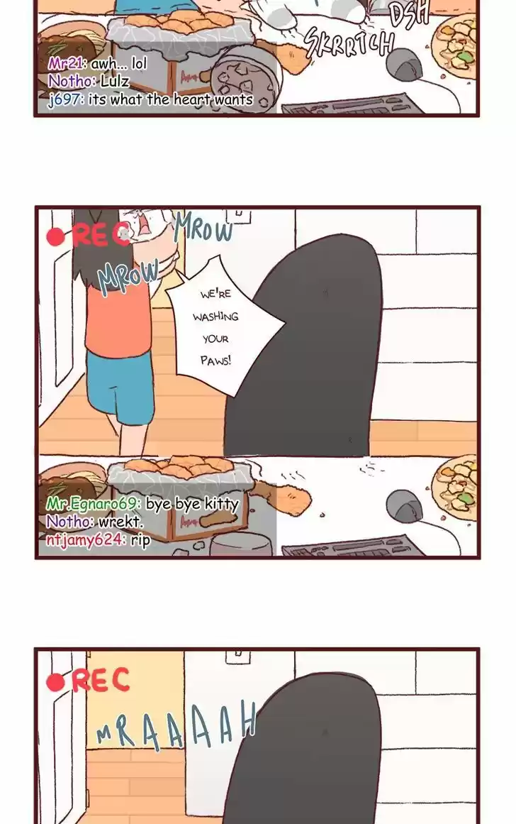 Saphie: The One-Eyed Cat 122