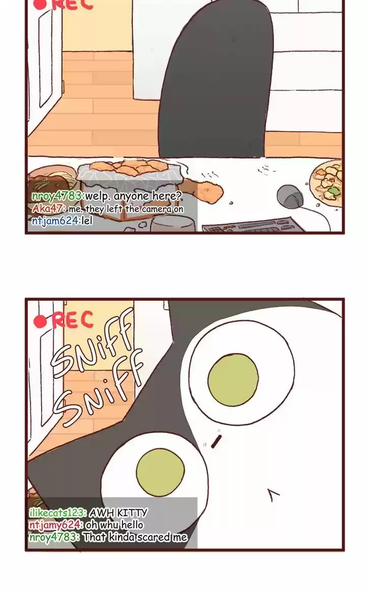 Saphie: The One-Eyed Cat 122