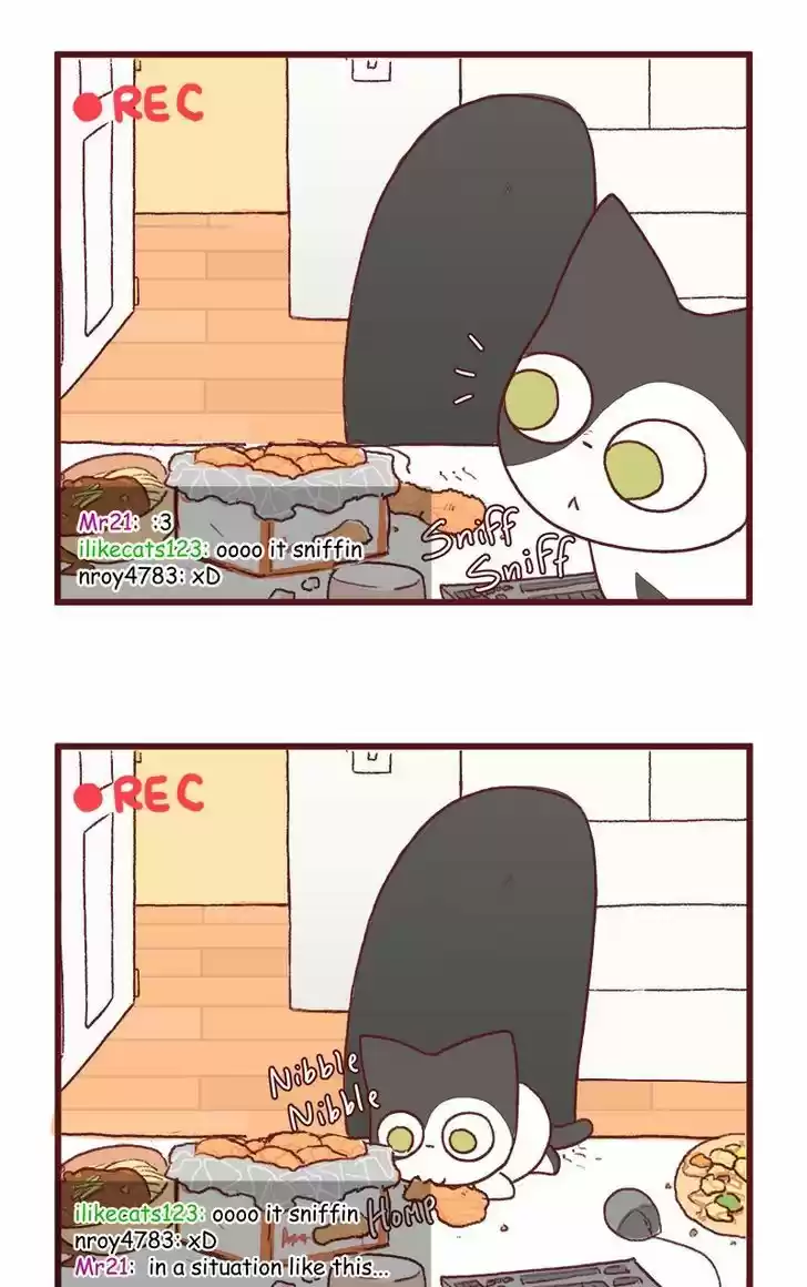 Saphie: The One-Eyed Cat 122