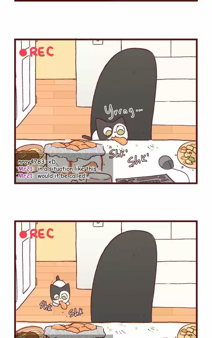 Saphie: The One-Eyed Cat 122