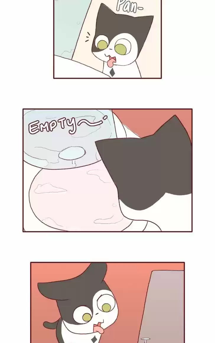 Saphie: The One-Eyed Cat 123