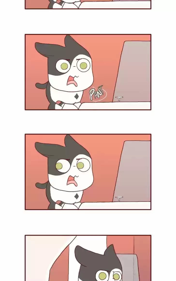 Saphie: The One-Eyed Cat 123