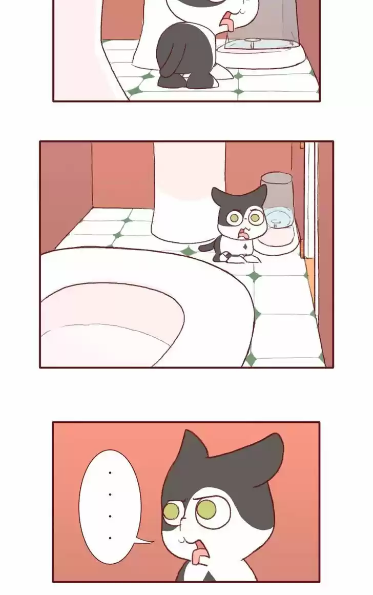 Saphie: The One-Eyed Cat 123