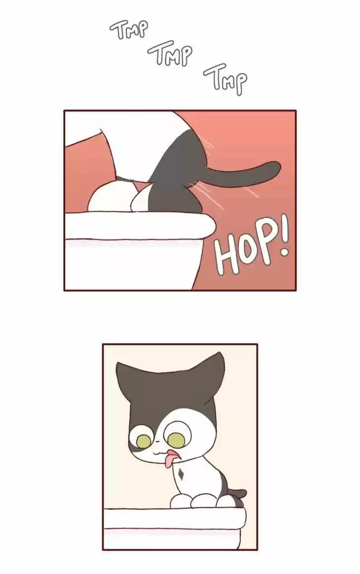 Saphie: The One-Eyed Cat 123