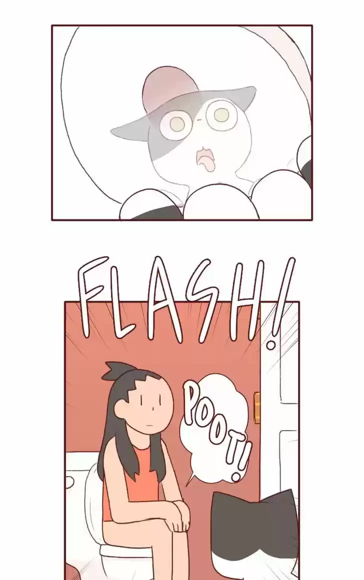 Saphie: The One-Eyed Cat 123