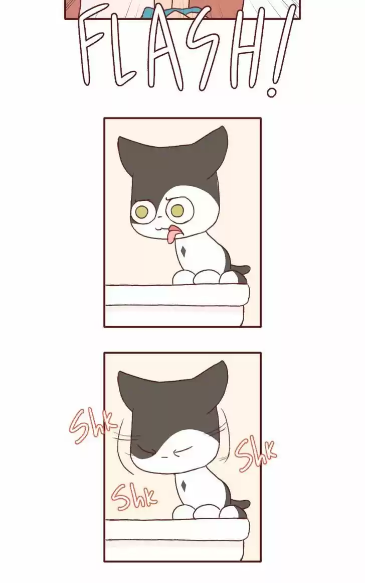 Saphie: The One-Eyed Cat 123