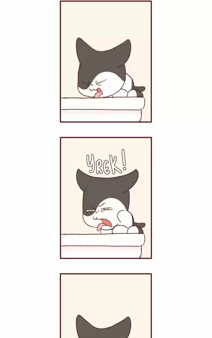 Saphie: The One-Eyed Cat 123