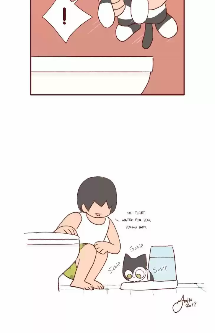 Saphie: The One-Eyed Cat 123