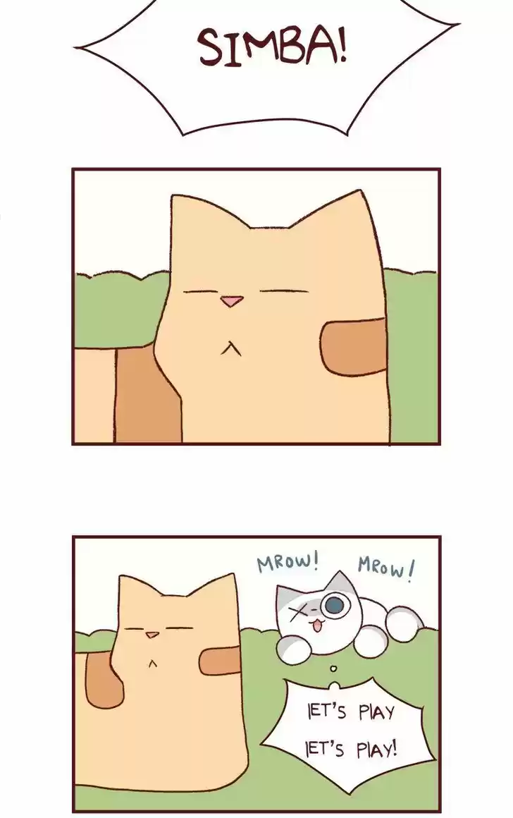 Saphie: The One-Eyed Cat 125