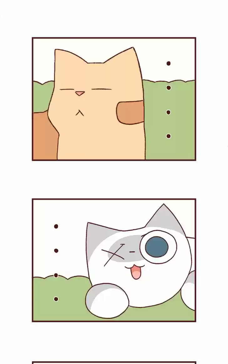 Saphie: The One-Eyed Cat 125