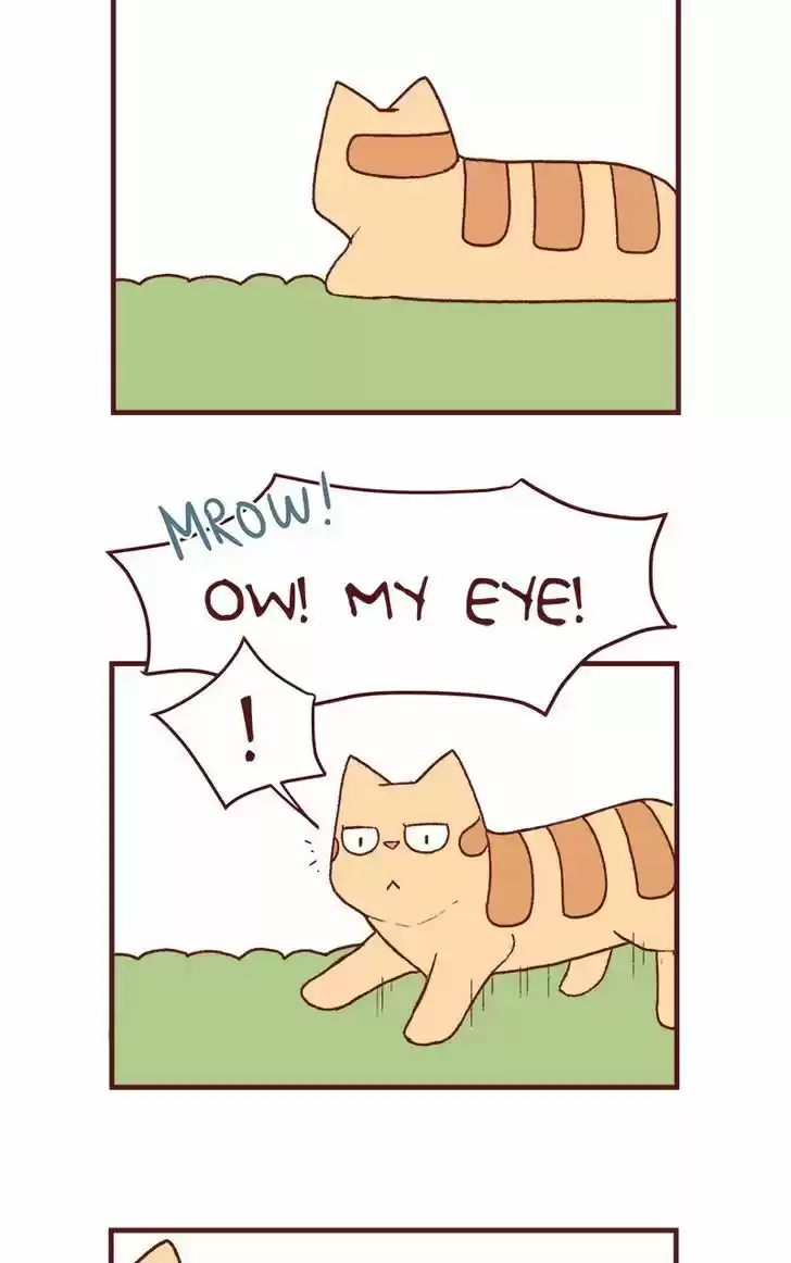 Saphie: The One-Eyed Cat 125