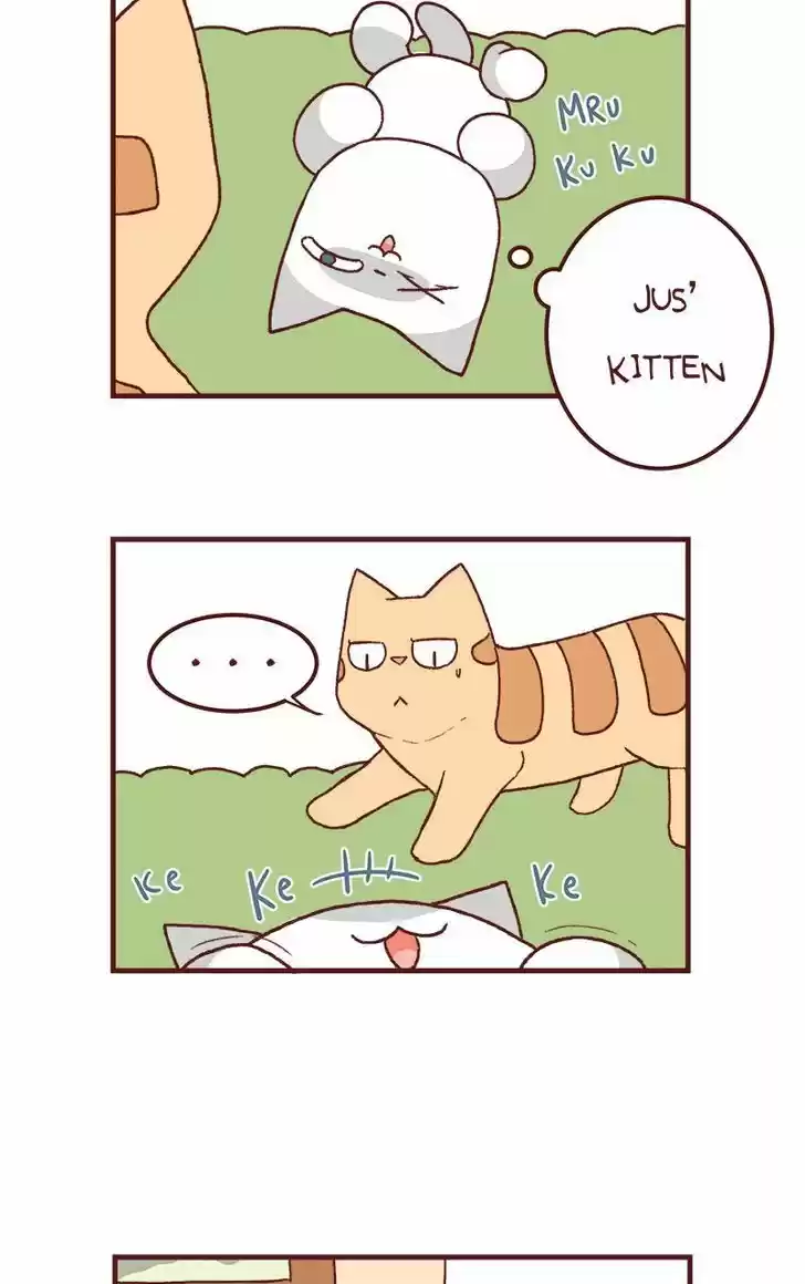 Saphie: The One-Eyed Cat 125